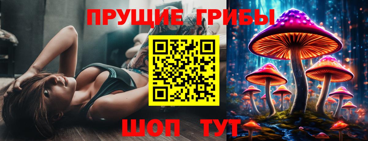 Галлюциногенные грибы Psilocybe Саров